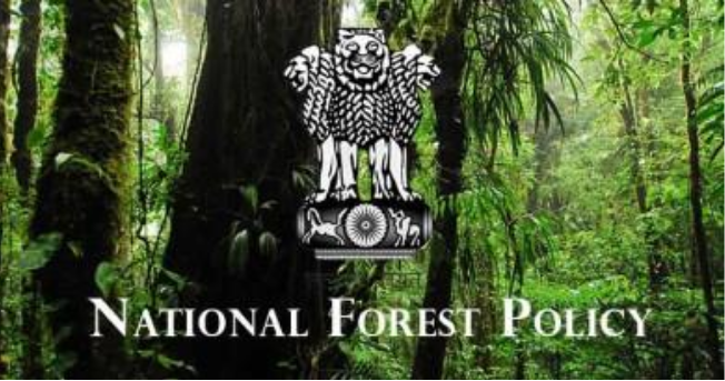 National Forest Policy